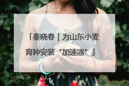秦晓春｜为山东小麦育种安装“加速器”