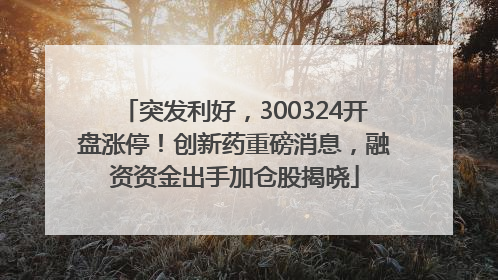 突发利好，300324开盘涨停！创新药重磅消息，融资资金出手加仓股揭晓
