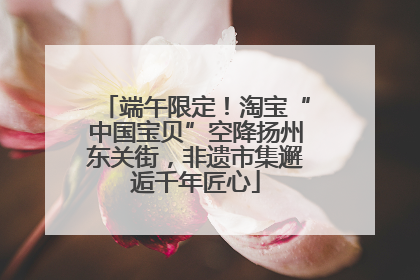 端午限定！淘宝“中国宝贝”空降扬州东关街，非遗市集邂逅千年匠心