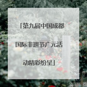第九届中国成都国际非遗节广元活动精彩纷呈