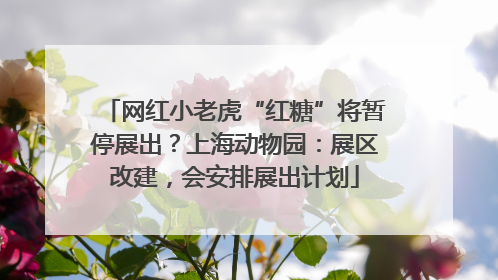 网红小老虎“红糖”将暂停展出？上海动物园：展区改建，会安排展出计划