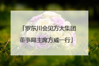 罗东川会见方大集团董事局主席方威一行