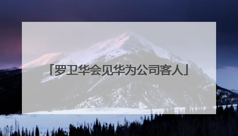 罗卫华会见华为公司客人