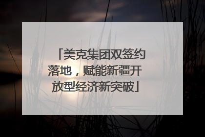 美克集团双签约落地，赋能新疆开放型经济新突破