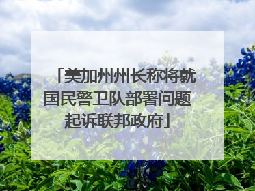 美加州州长称将就国民警卫队部署问题起诉联邦政府