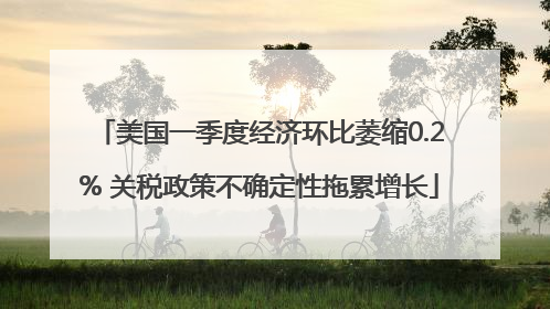 美国一季度经济环比萎缩0.2% 关税政策不确定性拖累增长