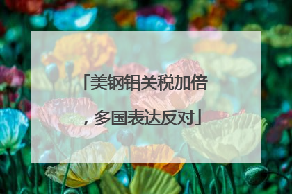 美钢铝关税加倍，多国表达反对