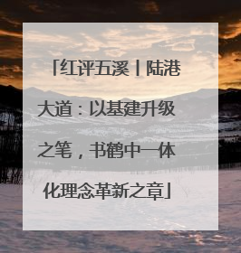 红评五溪丨陆港大道：以基建升级之笔，书鹤中一体化理念革新之章
