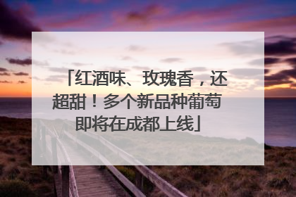 红酒味、玫瑰香，还超甜！多个新品种葡萄即将在成都上线