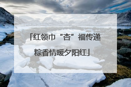 红领巾“杏”福传递 粽香情暖夕阳红