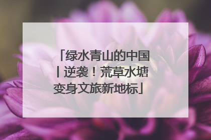 绿水青山的中国丨逆袭！荒草水塘变身文旅新地标