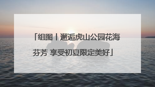 组图丨邂逅虎山公园花海芬芳 享受初夏限定美好