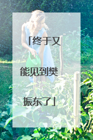 终于又能见到樊振东了