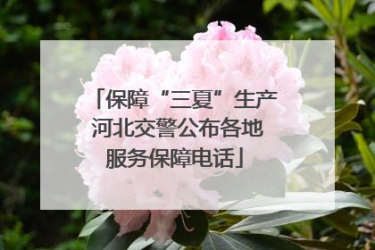 保障“三夏”生产 河北交警公布各地服务保障电话