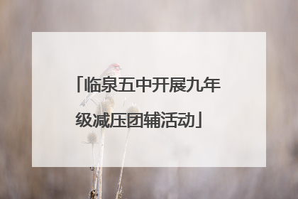 临泉五中开展九年级减压团辅活动