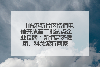 临港新片区增值电信开放第二批试点企业授牌：新增高济健康、科戈波特两家