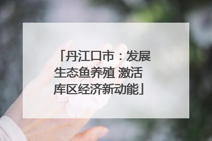 丹江口市：发展生态鱼养殖 激活库区经济新动能