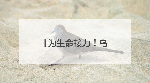 为生命接力！乌镇小伙沈佳斌完成造血干细胞捐献
