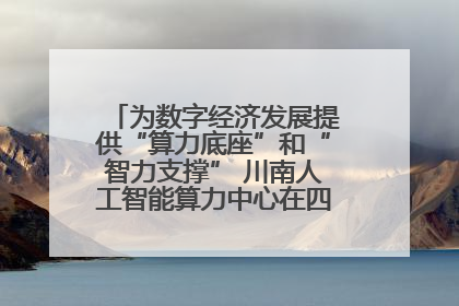 为数字经济发展提供“算力底座”和“智力支撑” 川南人工智能算力中心在四川泸州启动