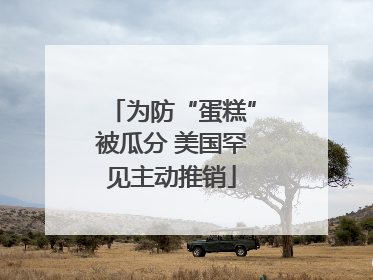 为防“蛋糕”被瓜分 美国罕见主动推销