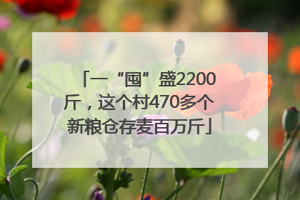 一“囤”盛2200斤，这个村470多个新粮仓存麦百万斤