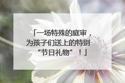 一场特殊的庭审，为孩子们送上的特别“节日礼物”！