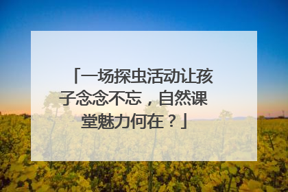 一场探虫活动让孩子念念不忘，自然课堂魅力何在？