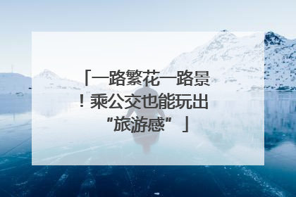 一路繁花一路景！乘公交也能玩出“旅游感”
