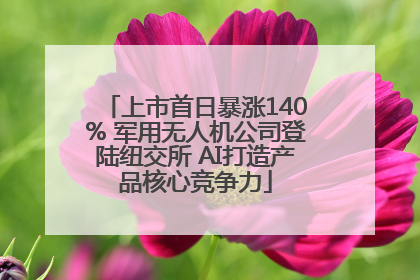 上市首日暴涨140% 军用无人机公司登陆纽交所 AI打造产品核心竞争力