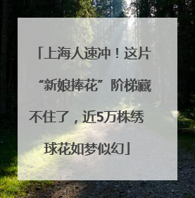 上海人速冲！这片“新娘捧花”阶梯藏不住了，近5万株绣球花如梦似幻