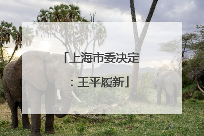 上海市委决定：王平履新