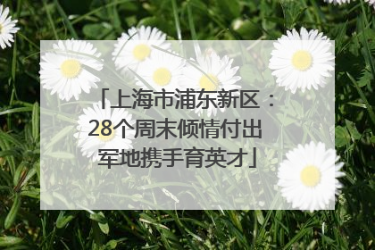 上海市浦东新区：28个周末倾情付出 军地携手育英才