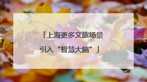 上海更多文旅场景引入“智慧大脑”