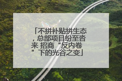 不拼补贴拼生态，总部项目纷至沓来 招商“反内卷”下的光谷之变