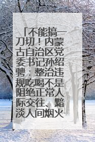 不能搞一刀切！内蒙古自治区党委书记孙绍骋：整治违规吃喝不是阻绝正常人际交往、黯淡人间烟火