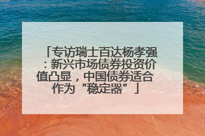 专访瑞士百达杨孝强：新兴市场债券投资价值凸显，中国债券适合作为“稳定器”