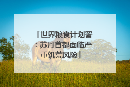 世界粮食计划署：苏丹首都面临严重饥荒风险