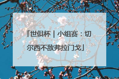 世俱杯｜小组赛：切尔西不敌弗拉门戈