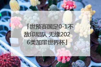 世预赛国足0-1不敌印尼队 无缘2026美加墨世界杯