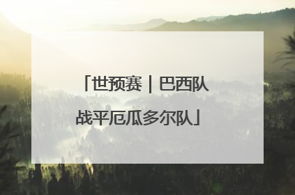 世预赛｜巴西队战平厄瓜多尔队