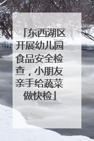 东西湖区开展幼儿园食品安全检查，小朋友亲手给蔬菜做快检