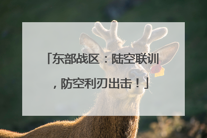 东部战区：陆空联训，防空利刃出击！