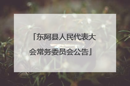 东阿县人民代表大会常务委员会公告