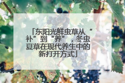 东阳光鲜虫草从“补”到“养”，冬虫夏草在现代养生中的新打开方式