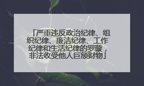 严重违反政治纪律、组织纪律、廉洁纪律、工作纪律和生活纪律的罗璇，非法收受他人巨额财物