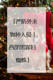 严防外来物种入侵｜西部黑寡妇蜘蛛
