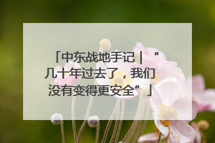 中东战地手记｜“几十年过去了，我们没有变得更安全”