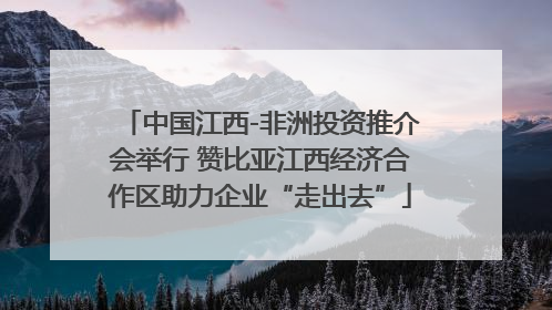 中国江西-非洲投资推介会举行 赞比亚江西经济合作区助力企业“走出去”