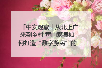 中安观察｜从北上广来到乡村 黄山黟县如何打造“数字游民”的“桃花源”？