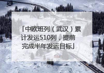 中欧班列（武汉）累计发运510列，提前完成半年发运目标
